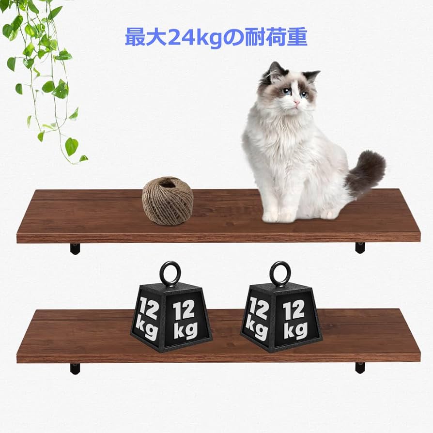 Amazon｜SIUSA ウォールシェルフ 壁掛け棚 2個セット 防水 頑丈